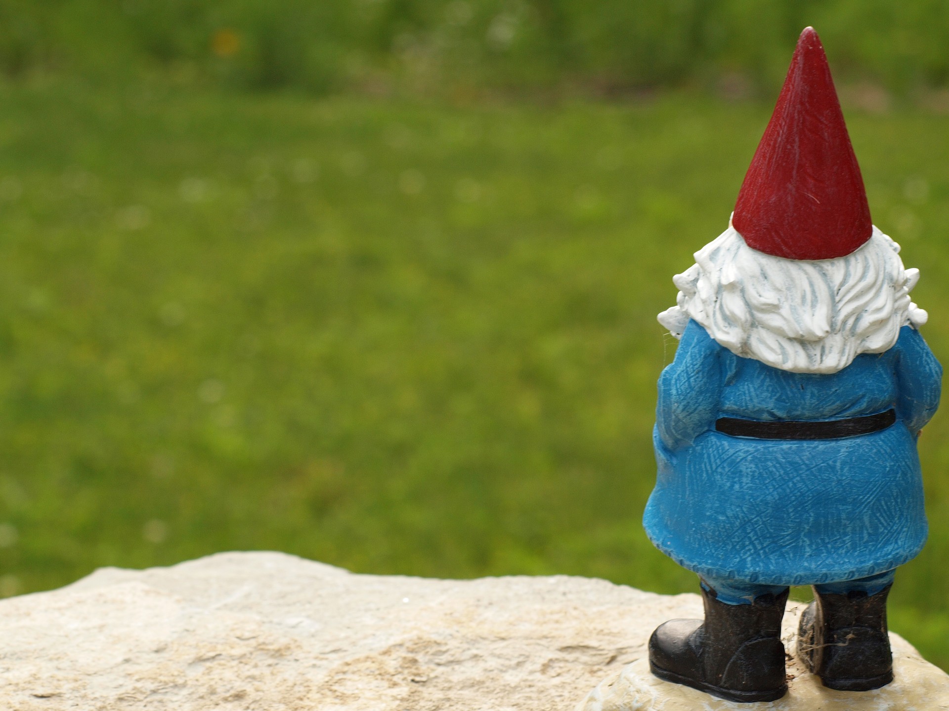 Gnome